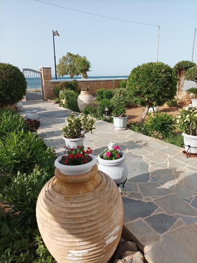Studios Antoniou Skala  Exterior photo